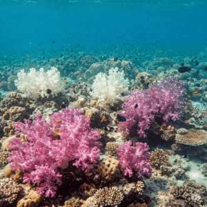Recifes de coral coloridos com peixes tropicais e áreas de coral branqueado, representando o impacto das mudanças climáticas nos oceanos. 